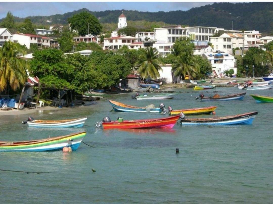 L'Hibiscus piscine et plage Sainte-Luce Buitenkant foto